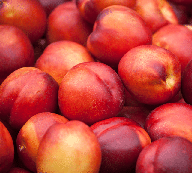 Nectarine Tree Fertilizer Haifa Group